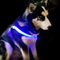可再充电的发光的LED爱犬猫设备安全性皮带