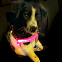 可再充电的发光的LED爱犬猫设备安全性皮带
